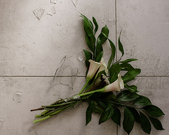 Violences conjugales